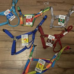 Horse Halter