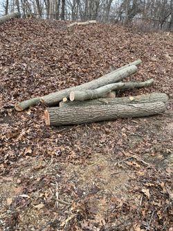 Free Firewood Long Log Free delivery