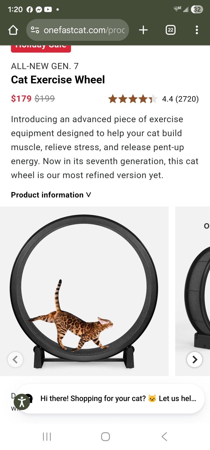Cat Wheel For Excersize Cat Toy Play
