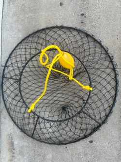 Lobster hoop