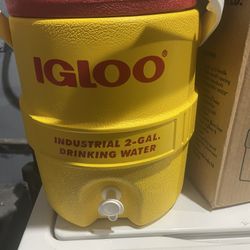 Igloo Cooler 