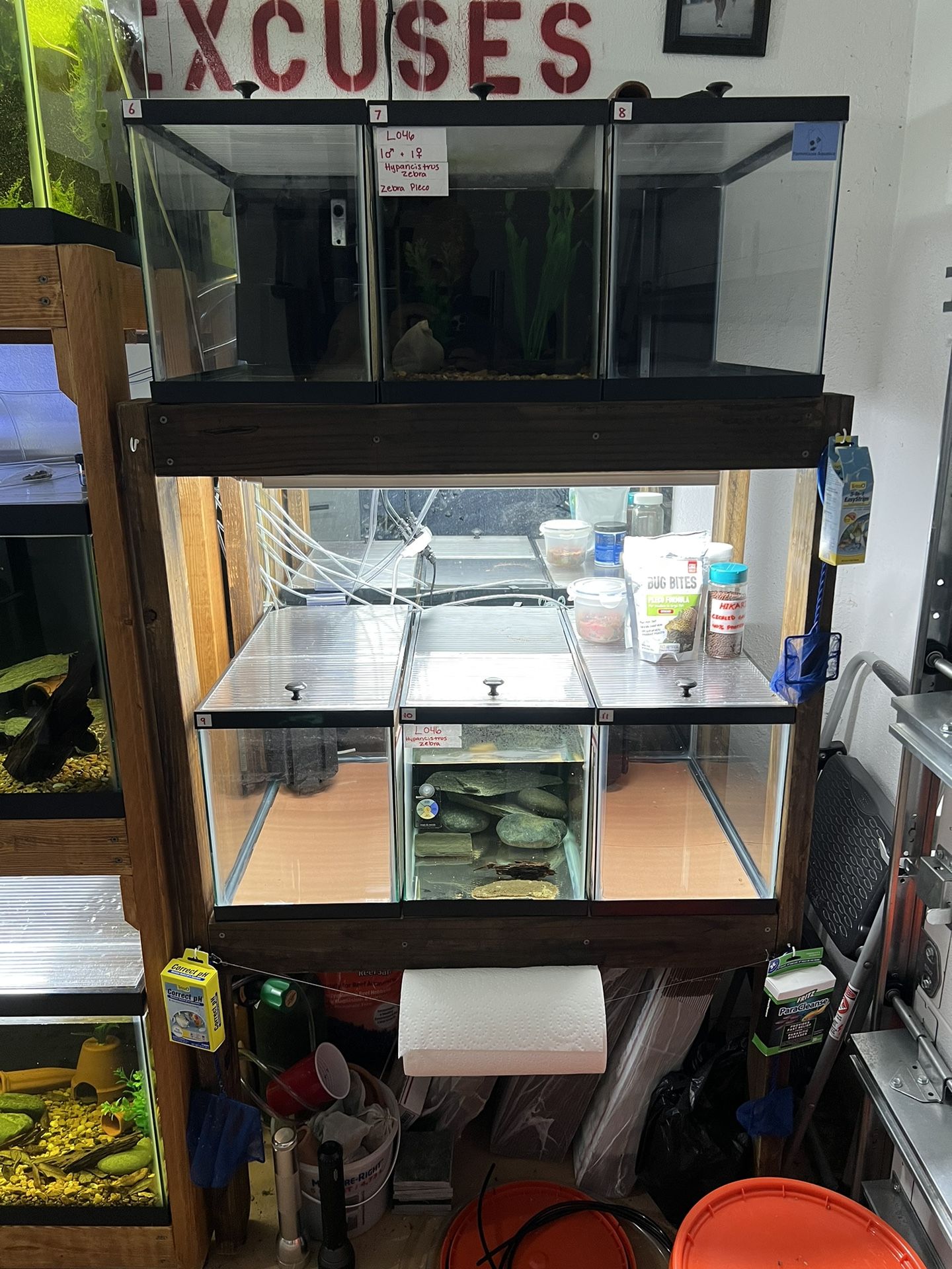 Six 10 Gallon Aquarium Rack With Air Pump and Sponge Filters