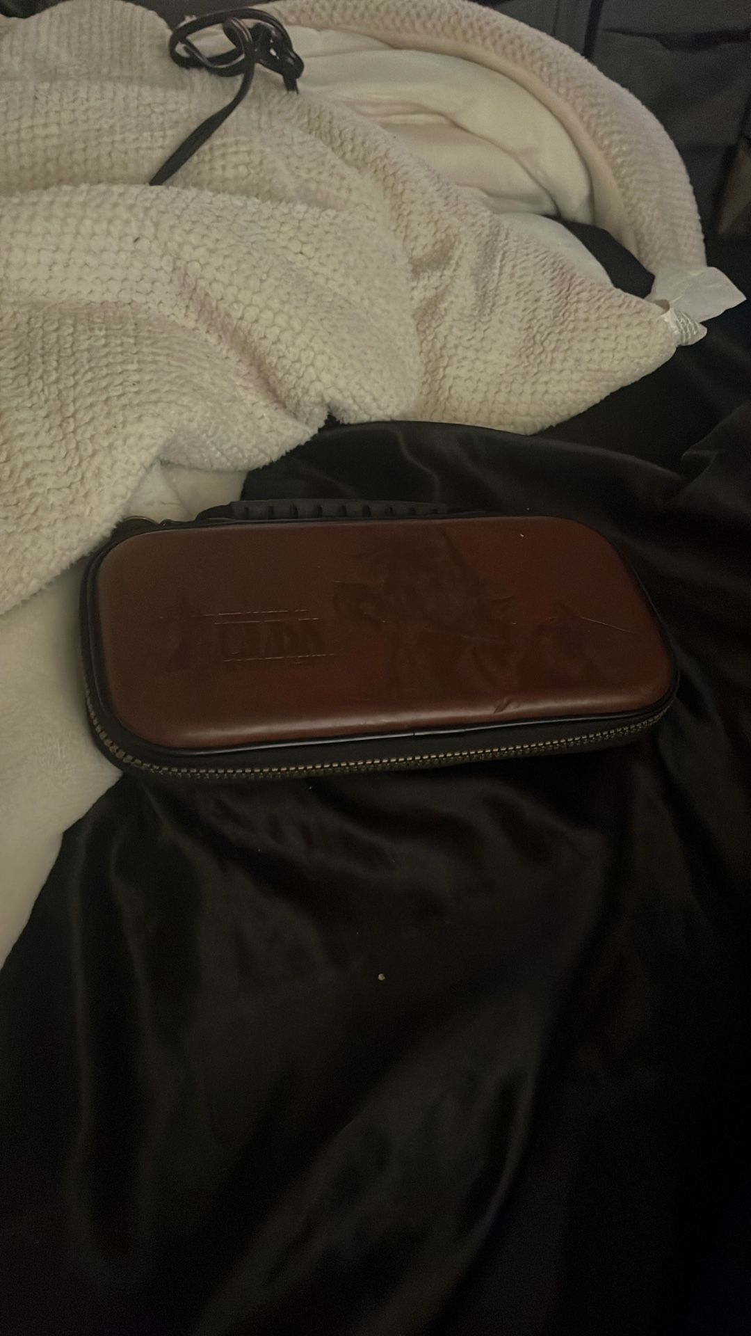 Nintendo Case
