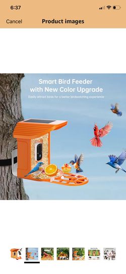 Smart bird feeder solar