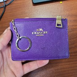 Coach Mini Skinny ID Case