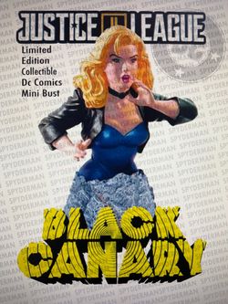 Black canary mini bust  dc comics collectible