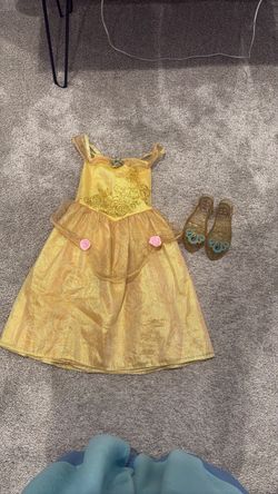 Disney princess costume