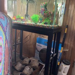 29 Gallon Tank With Lots Of Extras