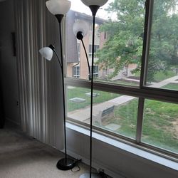 Lamps Northeast Philly Cash Only