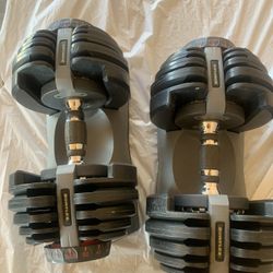 Bowflex 552 Dumbbells