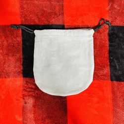 Apple Beats Bag