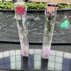 Led Roses 🌹 