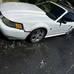 2004 Mustang 3.9L