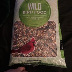 Wild Bird Food