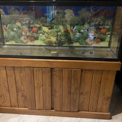 Fish Tank Aquarium