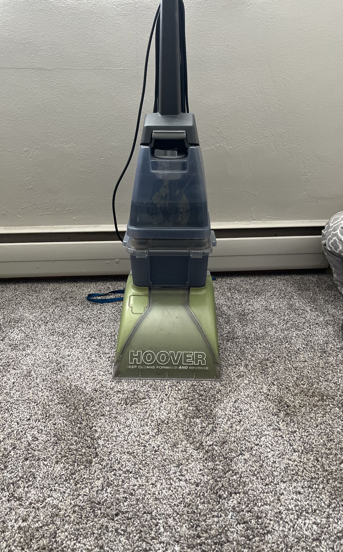 Carpet Deep Clean