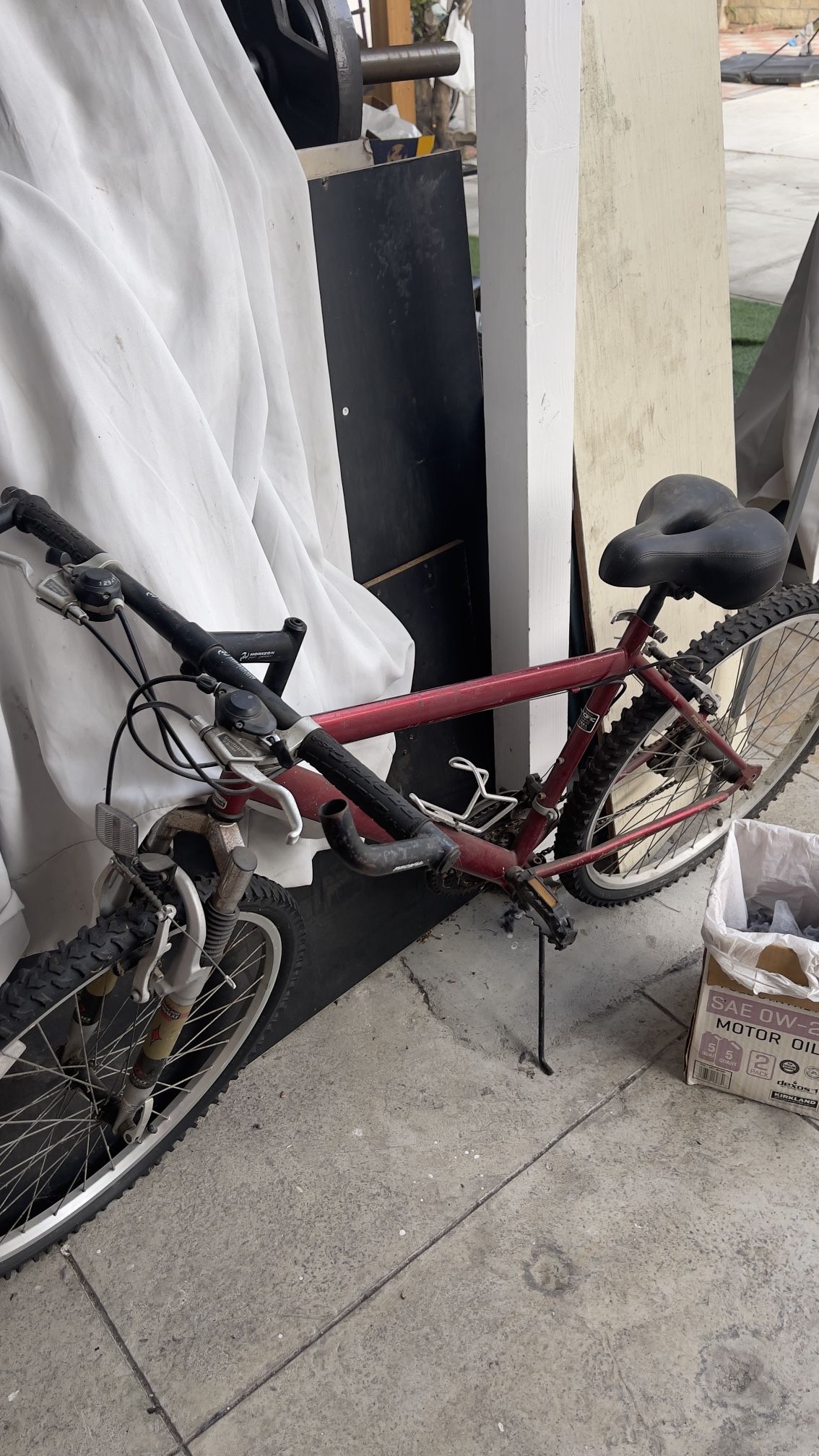 Adult Bike