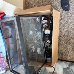Bearded Dragon Set Up
