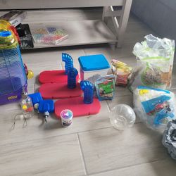 Full Dwarf Hamster Set Up