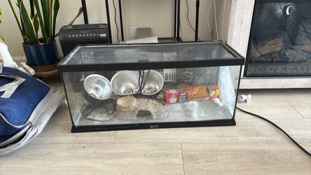 Breaded dragon cage