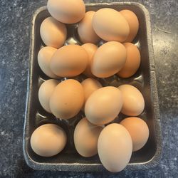 Eggs