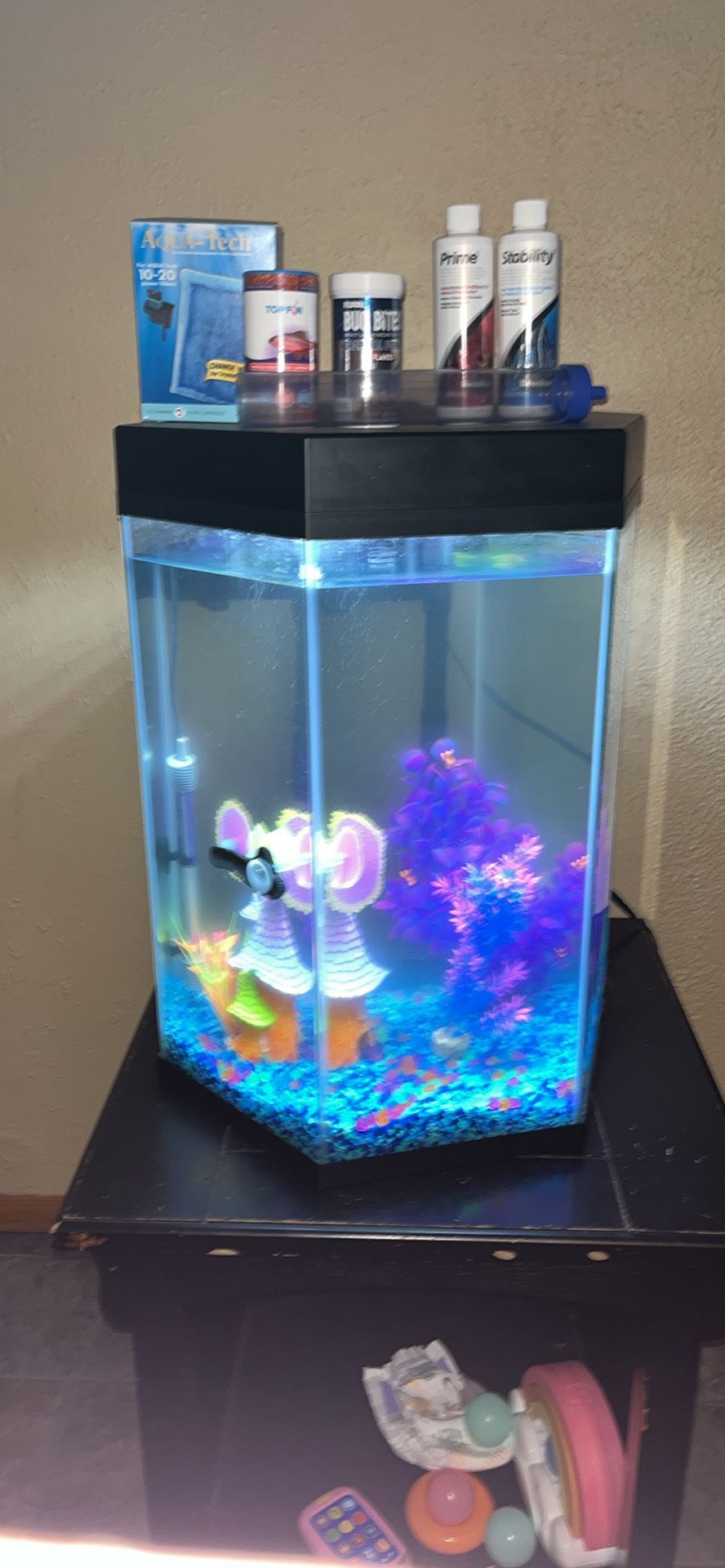 Fish Tank With Filter And Cleaning Supplies And Decor