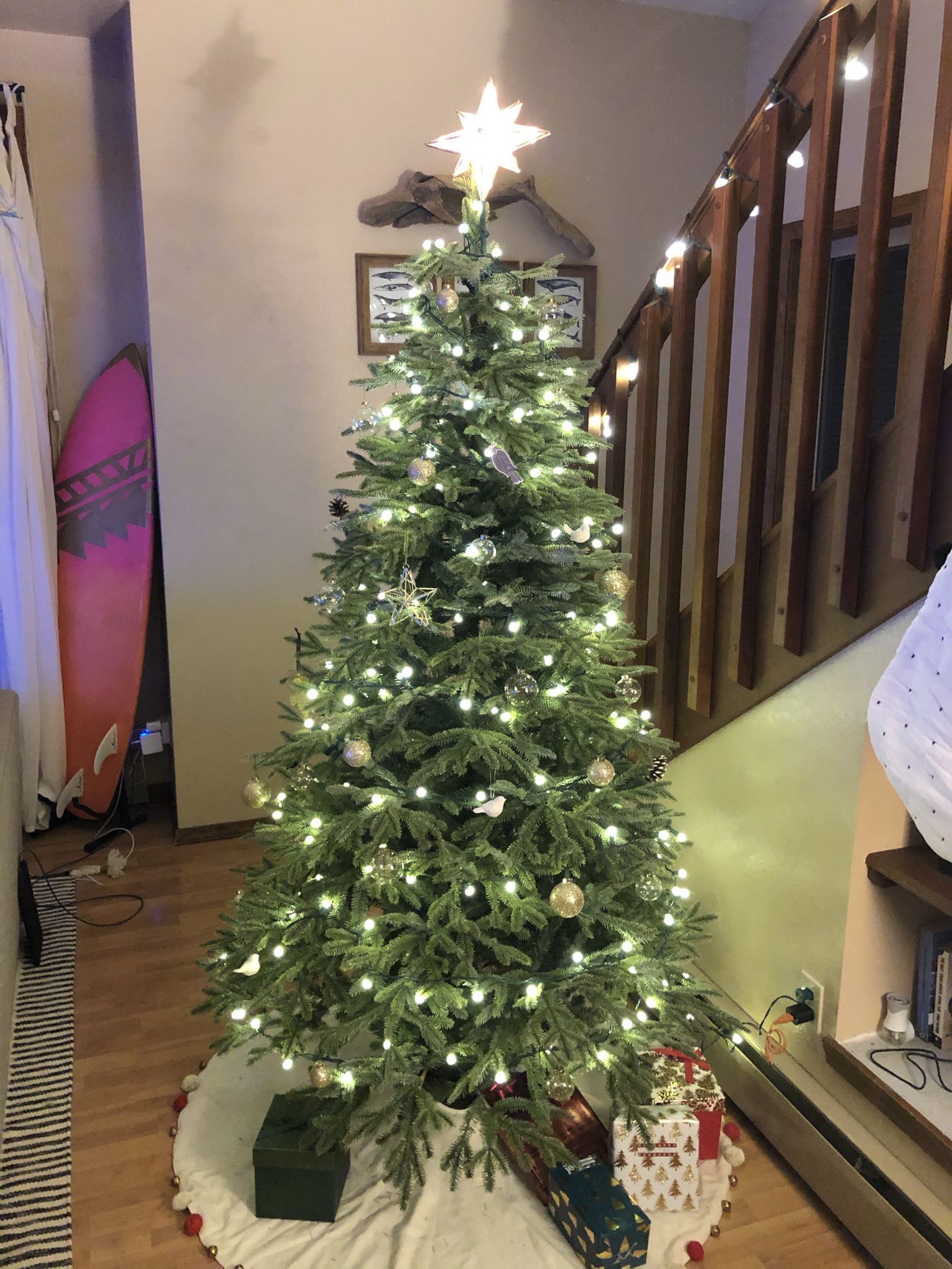 6.5’ Balsam Hill Tree Balsam Fir ‘Most Realistic’
