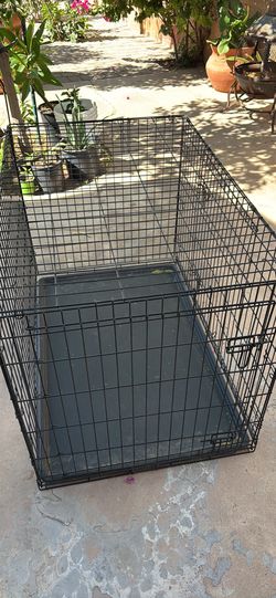 Xl dog kennel