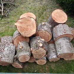 Free Firewood, Come And Haul Away.