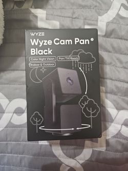 Were Cam Pan Black