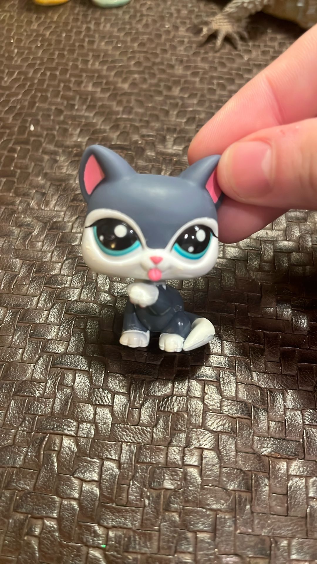 Littlest Pet Shop #2204 Kitty Cat Gray White Licking Paw Teal Eye Fashion Treats