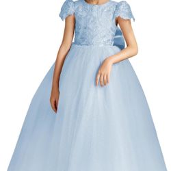 Flower Girls Lace Cap Sleeve Dress (Baby Blue)