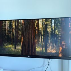 LG UltraWide Monitor 29-inch (29WQ600 - W)