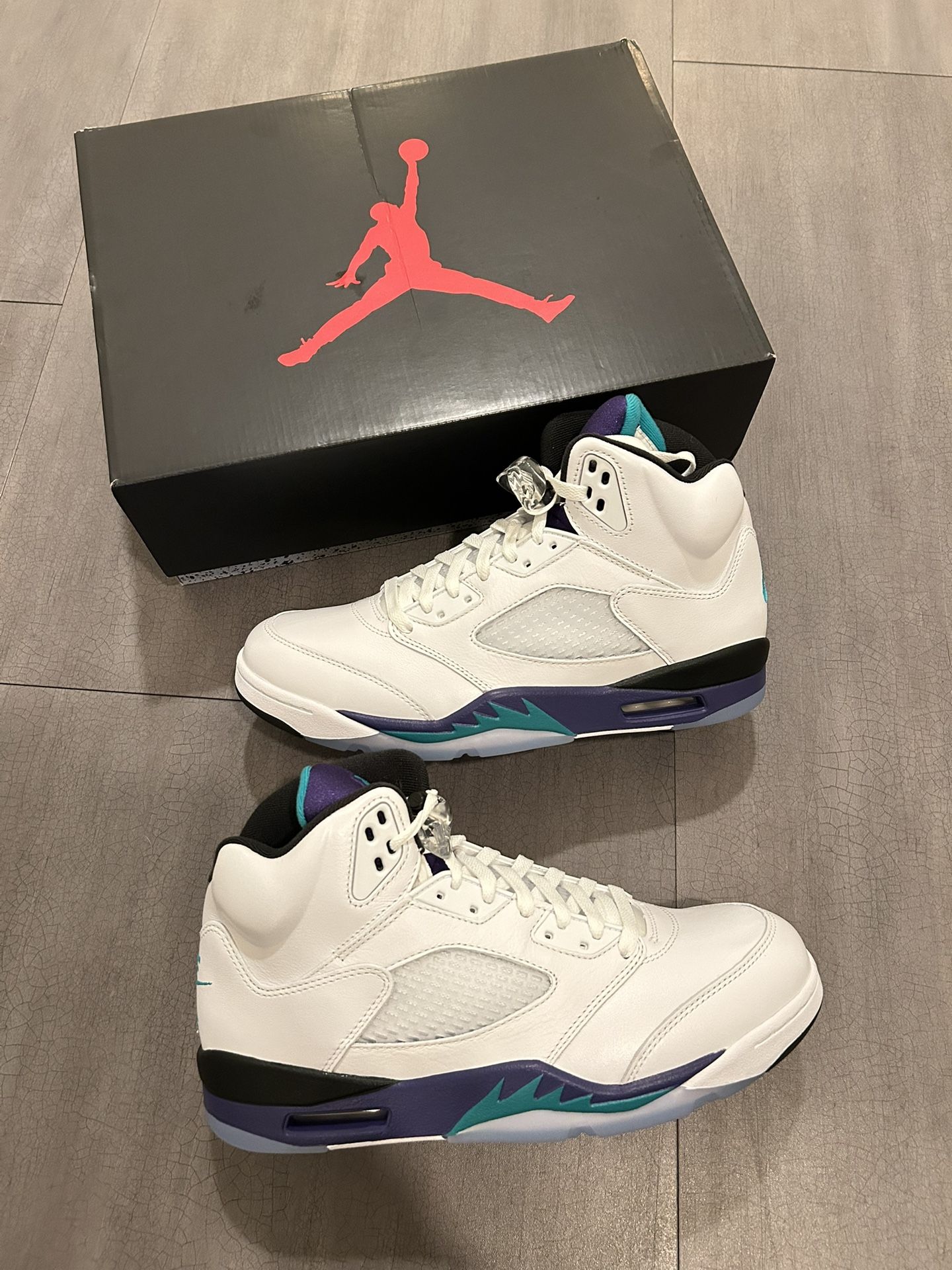 DS Jordan 5 Grape 2025