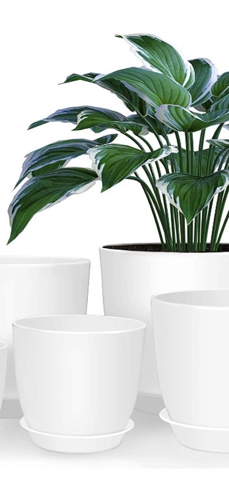 Plastic Planter with Saucers,8/7/6/5.5/5 Inch Flower Pot Indoor Modern Decorative Plastic Pots for Plants with Drainage Hole and Tray for All House Pl