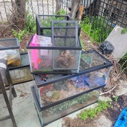 Fish Or Reptile Tanks