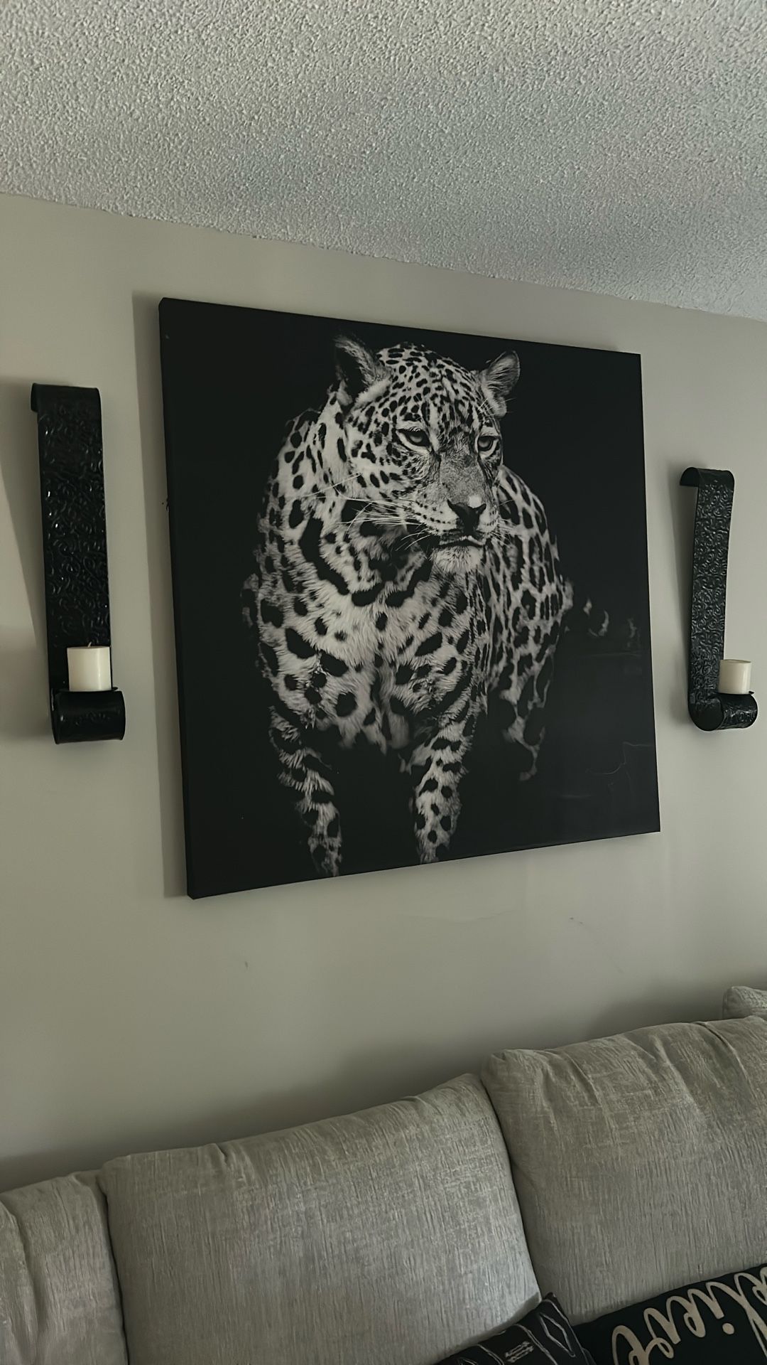 Large Black & White leopard