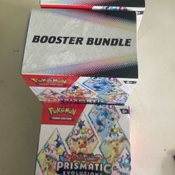 3 Prismatic Bundles 