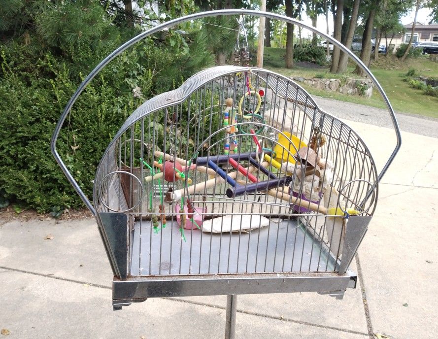 Bird Cage