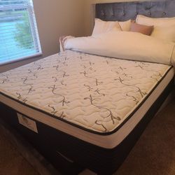 Queen And King Mattress And Queen Bed Frame