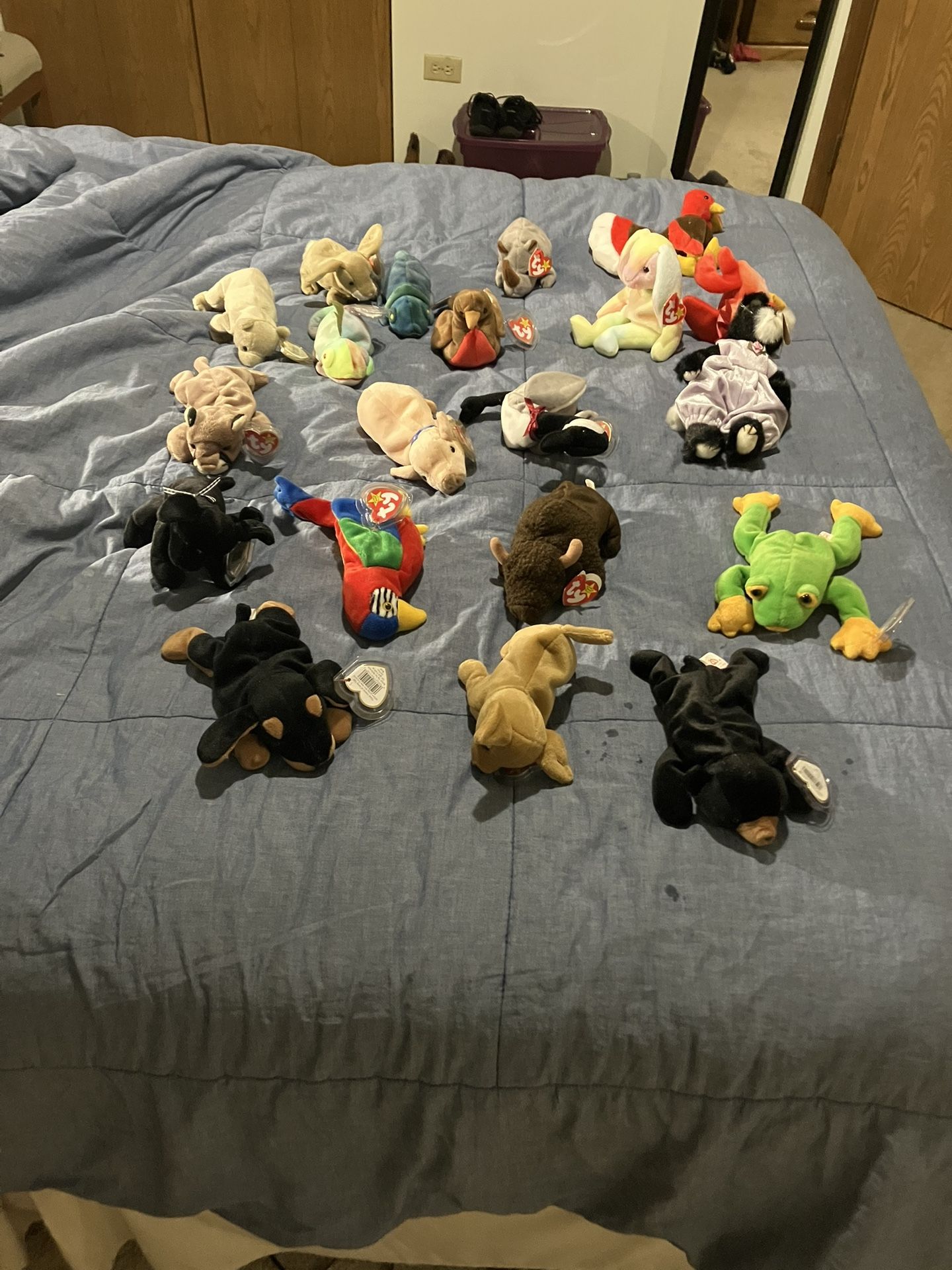 Beanie Babies