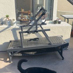 Dog Treadmill