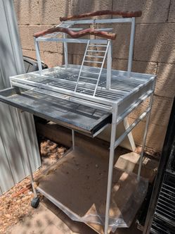 Excellent Parrot stand bird stand