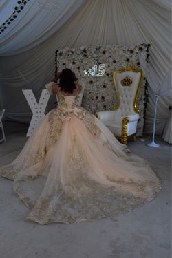 Quinceañera dress