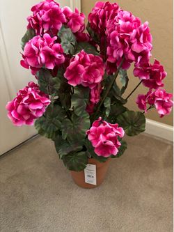 Bloom Room Geranium Artificial Arrangement