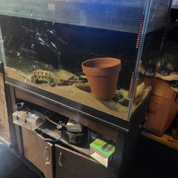 Fish Tank And Stand