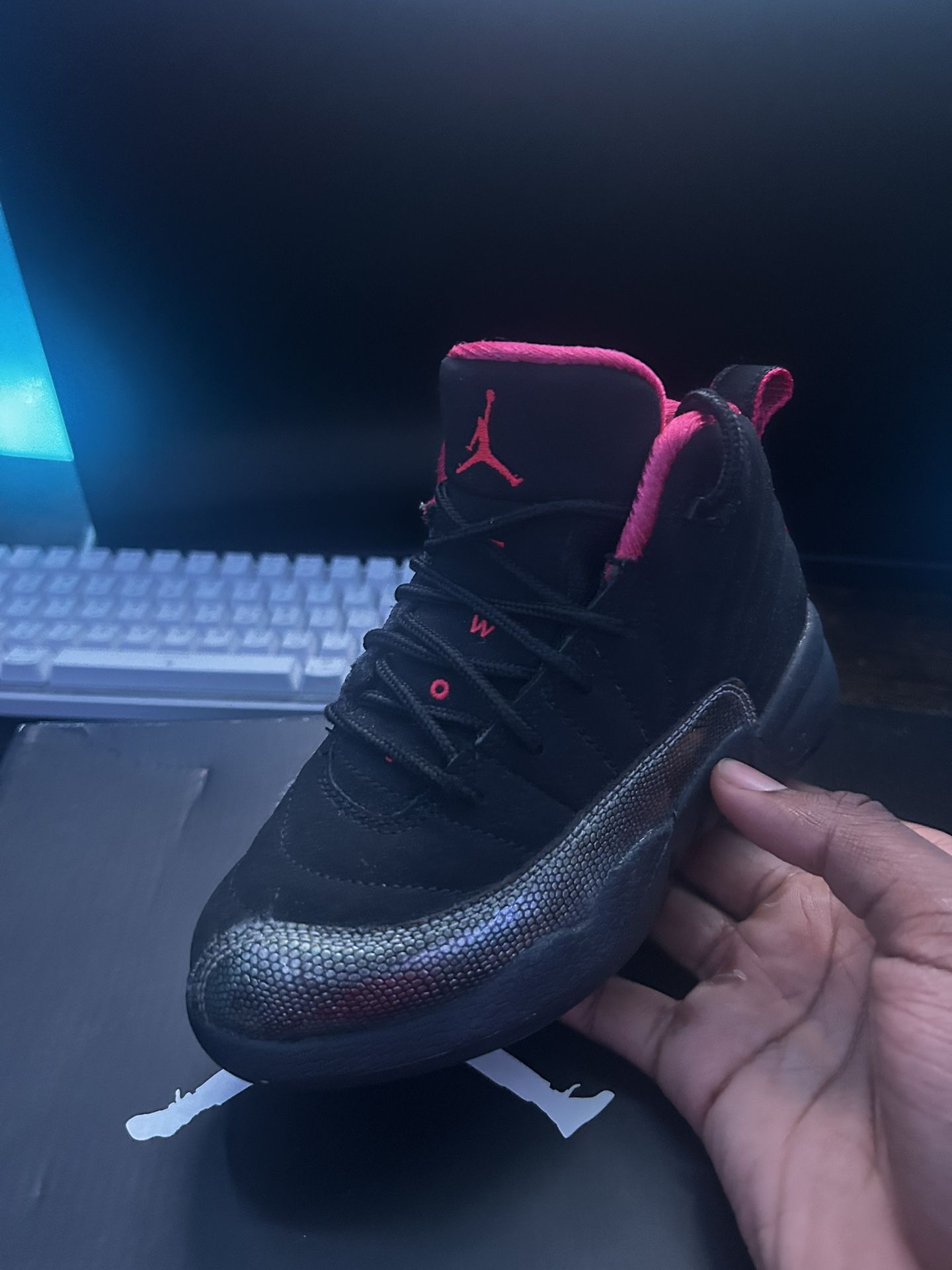 Toddler Jordan 12 (size 11c)