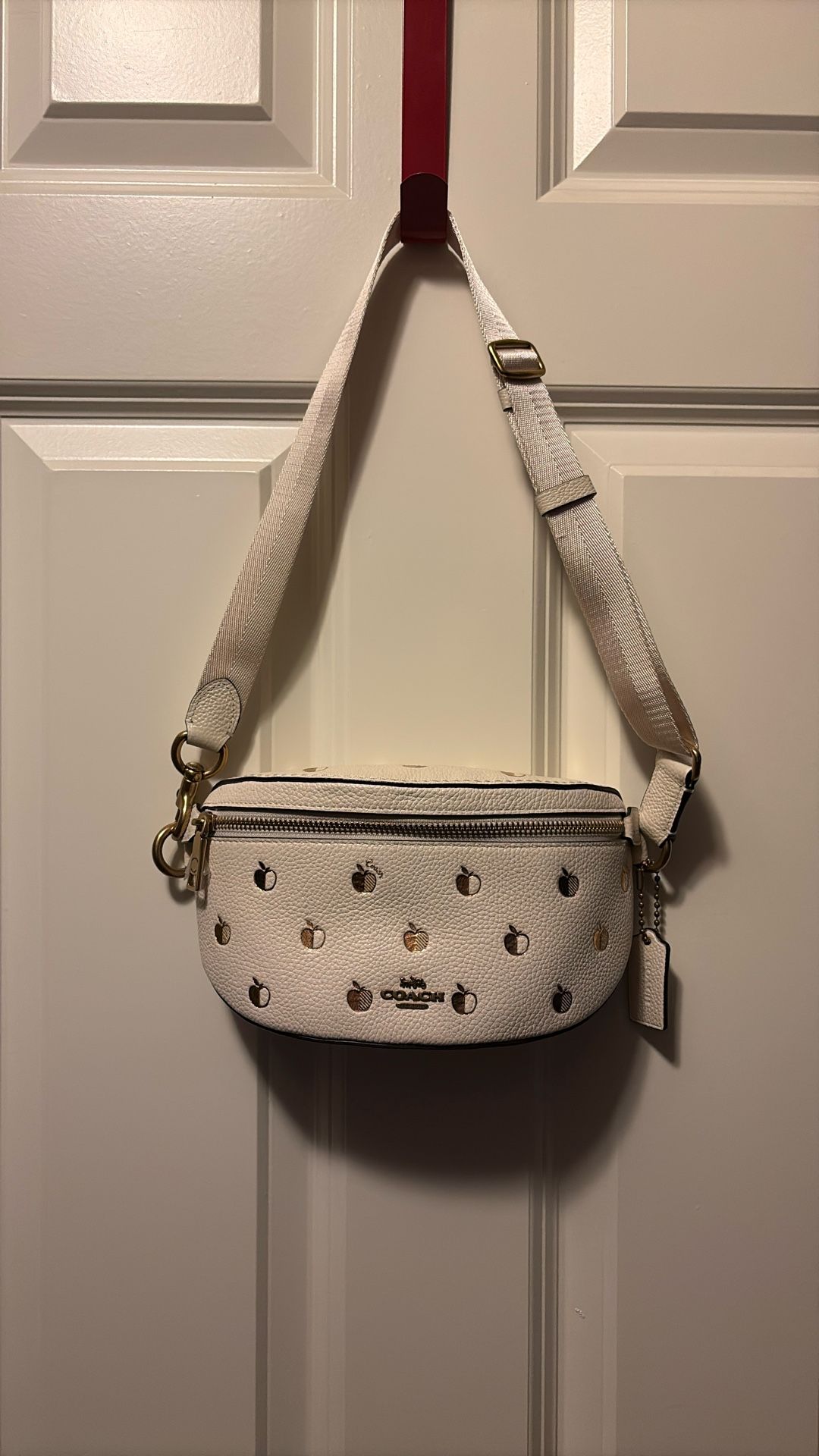 Coach Apple Fannie Pack