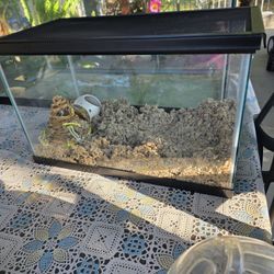 Hamster/guinea pig home