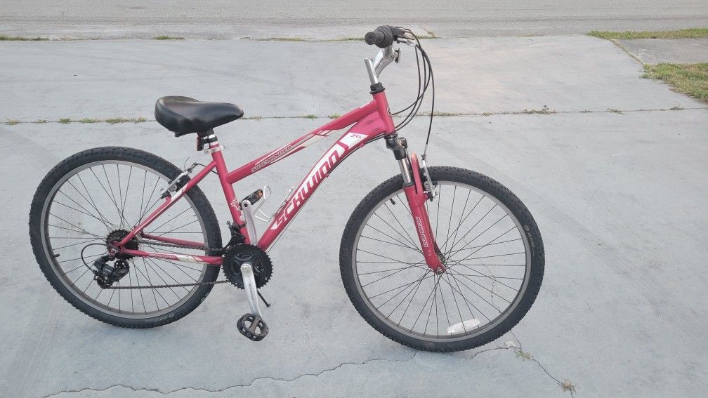 Mountain Bike